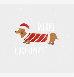 Christmas Card Funny Dog In Hat Scarf