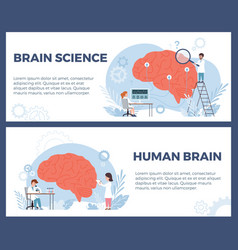 Brain Science And Neurology Posters Set