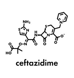 Ceftazidime Cephalosporin Antibiotic Drug