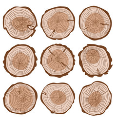 Cut Of Tree Trunk Color Set Round Of Logs