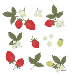 Cartoon Set Of Strawberry Berry Leaf And Flowers