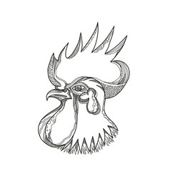 Junglefowl Head Doodle Art