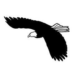 Logo Of Flying Eagle Top View With Wide Wings