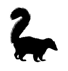 Skunk