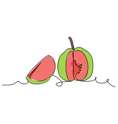 Simple Flat Color One Line Drawing Of A Guava