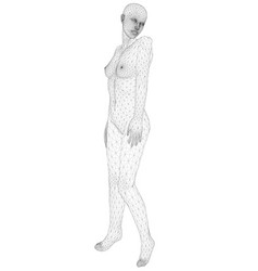 Wireframe A Girl In Sexy Pose From Black