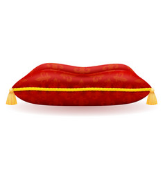 Red Satin Pillow