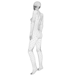 Wireframe A Girl In Sexy Pose From Black