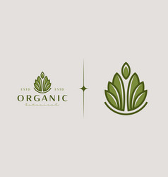 Leaf Flower Plant Logo Template Universal