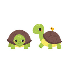 Cute Turtle Baby Animals Set Front And Side View