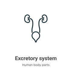 Excretory System Outline Icon Thin Line Black