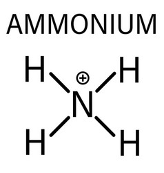 Ammonium Cation Skeletal Formula