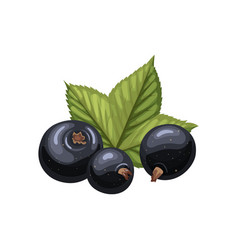 Black Currant Food Cartoon