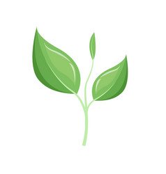 Ecology Leaves Go Green Logo