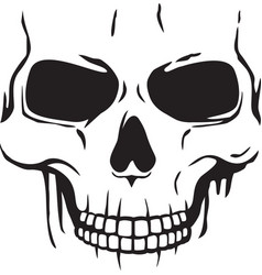 Human Skull Black And White Skeleton Head