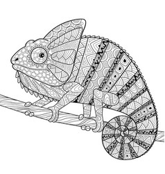 Chameleon Adult Antistress Coloring Page