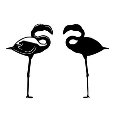 Flamingo Bird Logo Silhouette