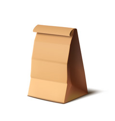 3d Brown Craft Paper Bag Packaging On White Back