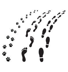 Footprints Of Man And Dog