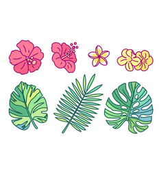 Cute Drawn Plant Clipart