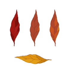 Hand Drawn Leaves In Different Autumn Colors