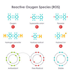 Reactive Oxygen Species Ros