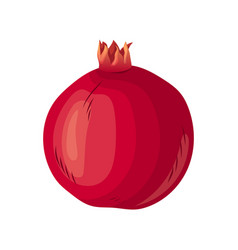 Pomegranate Fruit Cartoon