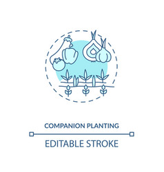 Companion Planting Concept Icon