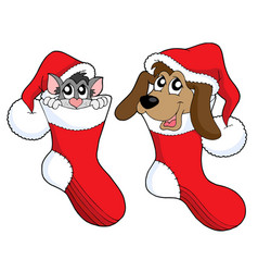 Cute Cat And Dog In Christmas Socks