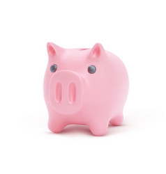 Realistic Pink Pig With Shadow Piggy Bank