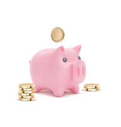 3d Realistic Moneybox In The Form Of A Pig