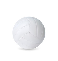 Realistic Volleyball Ball Sports Accessory