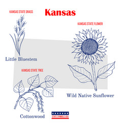 Kansas Set Usa Official State Symbols