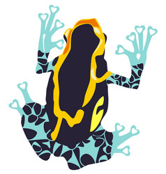 Poison Dart Frog