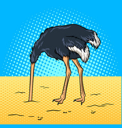 Ostrich Hid Its Head In The Sand Pop Art