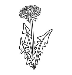 Dandelion Botanical Lineart Icon Summer Flower