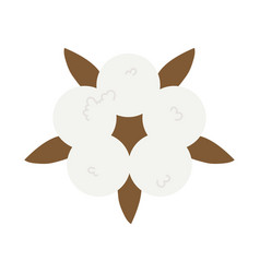 Cotton Flower Icon