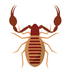 Isolated Colored Scorpio Insect Animal Icon