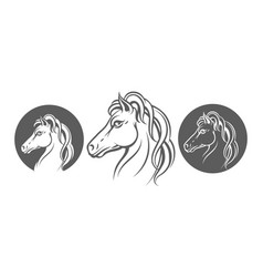 Horse Head Monochrome Icon Set Isolated On White