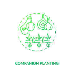 Companion Planting Concept Icon