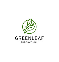 Green Leaf Nature Logo Icon Design Template