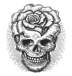 Human Skull And Flowers Rose Dia De Los Muertos