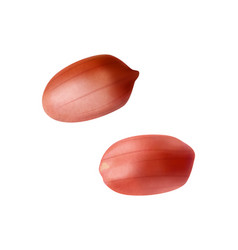 Peanut Red Shell Composition