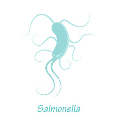 Salmonella Bacteria Educational Graphic