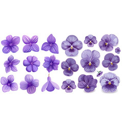 Violet Flower Set