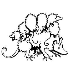 Possum Family Line Drawing