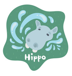 A Little Baby Hippo Emerged From Water