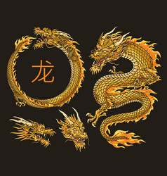 Golden Dragon Colorful Set Emblems