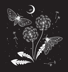 Hand Drawn Gothic Night Scene With Moths