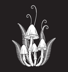 Hand Drawn Poisonous Mushrooms And Fern In Graphic